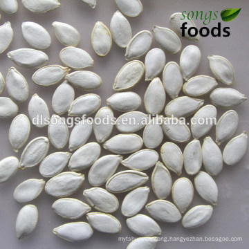 Wholesale Edible Pumpkinseeds In Shell, Large Size